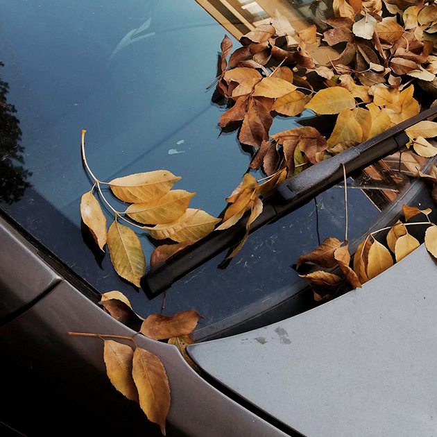 Comment déboucher les évacuations d’eau de pluie de votre Clio 3 en
